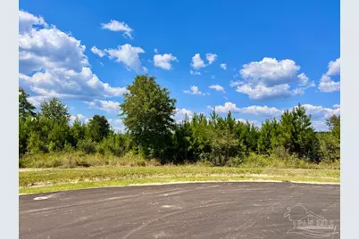Lot 14 Morgans Branch, Molino, FL 32577 - Photo 13