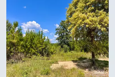 Lot 14 Morgans Branch, Molino, FL 32577 - Photo 17