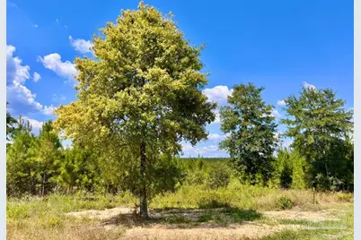 Lot 14 Morgans Branch, Molino, FL 32577 - Photo 9