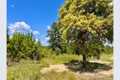 Lot 14 Morgans Branch, Molino, FL 32577 - Photo 15