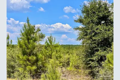 Lot 14 Morgans Branch, Molino, FL 32577 - Photo 23