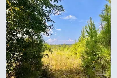 Lot 15-2008 Morgans Branch, Molino, FL 32577 - Photo 1