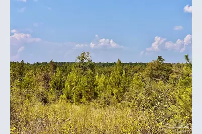 Lot 15 Morgans Branch, Molino, FL 32577 - Photo 9