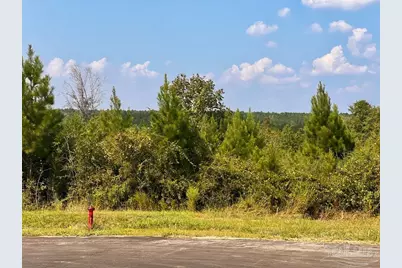 Lot 15 Morgans Branch, Molino, FL 32577 - Photo 15