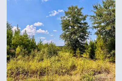 Lot 15 Morgans Branch, Molino, FL 32577 - Photo 11