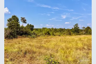 Lot 16 Morgans Branch, Molino, FL 32577 - Photo 13