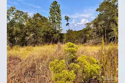 Lot 16 Morgans Branch, Molino, FL 32577 - Photo 17