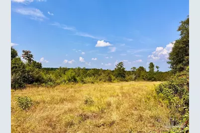 Lot 16 Morgans Branch, Molino, FL 32577 - Photo 1