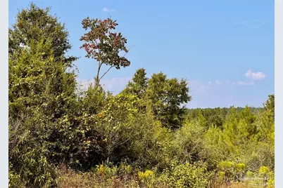 Lot 16 Morgans Branch, Molino, FL 32577 - Photo 11