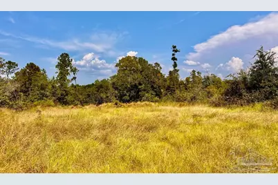 Lot 17 Morgans Branch, Molino, FL 32577 - Photo 11