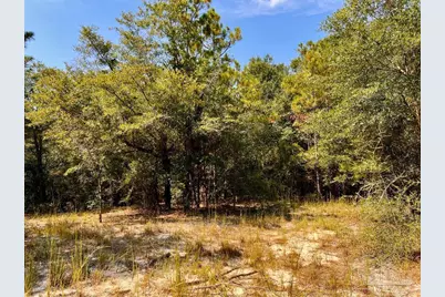 Lot 17 Morgans Branch, Molino, FL 32577 - Photo 15