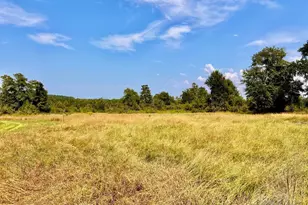 Lot 17 Morgans Branch, Molino, FL 32577 - Photo 1