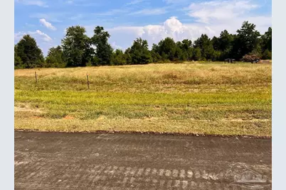 Lot 18 Morgans Branch, Molino, FL 32577 - Photo 15