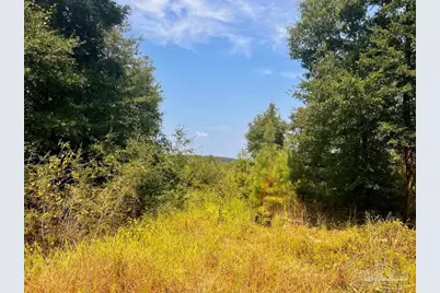 Lot 18 Morgans Branch, Molino, FL 32577 - Photo 11