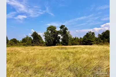 Lot 18 Morgans Branch, Molino, FL 32577 - Photo 9