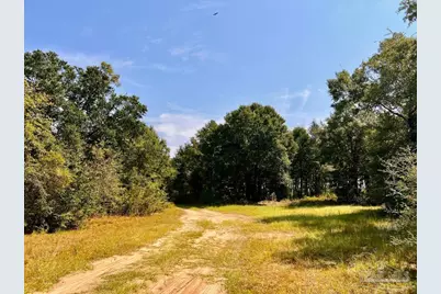 Lot 19 Morgans Branch, Molino, FL 32577 - Photo 23