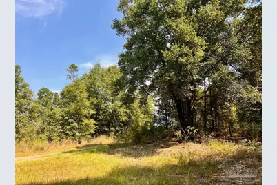 Lot 19 Morgans Branch, Molino, FL 32577 - Photo 19