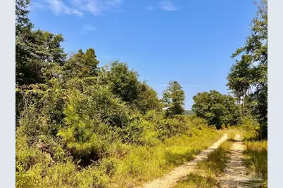 Lot 19 Morgans Branch, Molino, FL 32577 - Photo 9