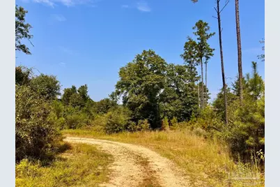 Lot 19 Morgans Branch, Molino, FL 32577 - Photo 11