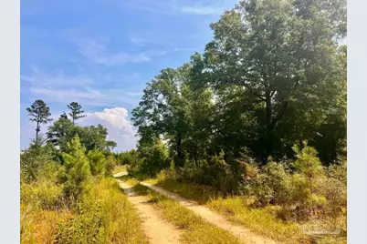 Lot 19 Morgans Branch, Molino, FL 32577 - Photo 17