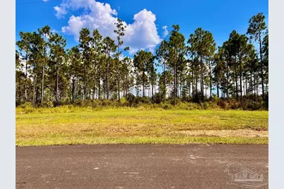 Lot 23 Morgans Branch, Molino, FL 32577 - Photo 5