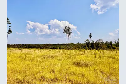 Lot 23 Morgans Branch, Molino, FL 32577 - Photo 9