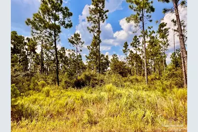 Lot 23 Morgans Branch, Molino, FL 32577 - Photo 15