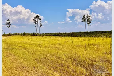 Lot 23 Morgans Branch, Molino, FL 32577 - Photo 1