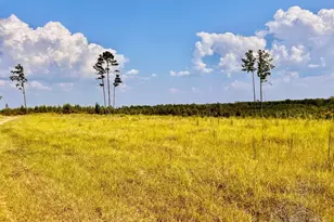 Lot 23 Morgans Branch, Molino, FL 32577 - Photo 1