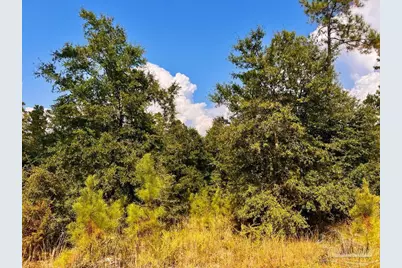 Lot 31 Morgans Branch, Molino, FL 32577 - Photo 9