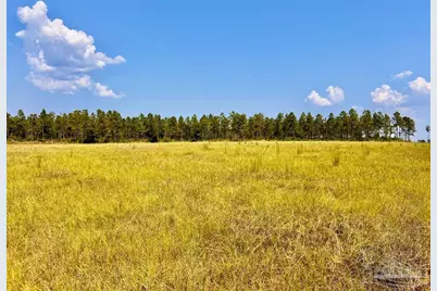 Lot 26 Morgans Branch, Molino, FL 32577 - Photo 1