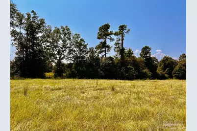 Lot 26 Morgans Branch, Molino, FL 32577 - Photo 11