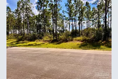 Lot 26 Morgans Branch, Molino, FL 32577 - Photo 7