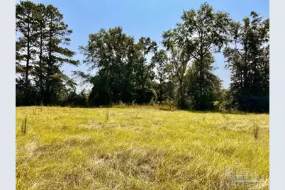 Lot 26 Morgans Branch, Molino, FL 32577 - Photo 9