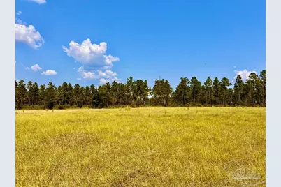Lot 26 Morgans Branch, Molino, FL 32577 - Photo 13