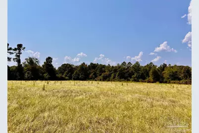 Lot 26 Morgans Branch, Molino, FL 32577 - Photo 5