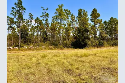 Lot 27 Morgans Branch, Molino, FL 32577 - Photo 9