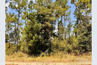 Lot 27 Morgans Branch, Molino, FL 32577 - Photo 15