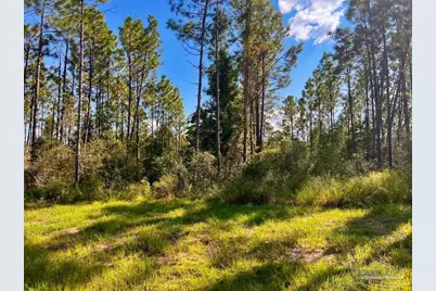 Lot 28 Morgans Branch, Molino, FL 32577 - Photo 9