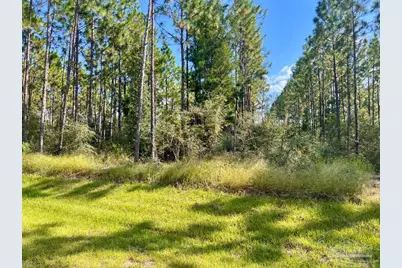 Lot 29 Morgans Branch, Molino, FL 32577 - Photo 1