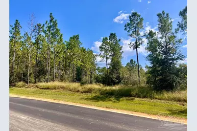 Lot 30 Morgans Branch, Molino, FL 32577 - Photo 1