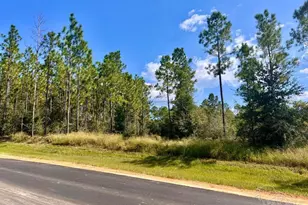 Lot 30 Morgans Branch, Molino, FL 32577 - Photo 1