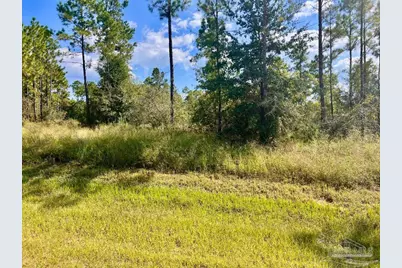 Lot 30 Morgans Branch, Molino, FL 32577 - Photo 9