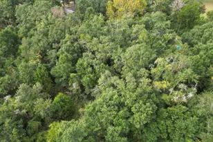 5031 Molino Rd, Molino, FL 32577 - Photo 7