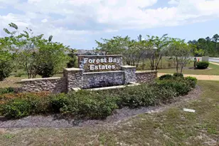 2363 Cloudberry Dr, Gulf Breeze, FL 32563 - Photo 47