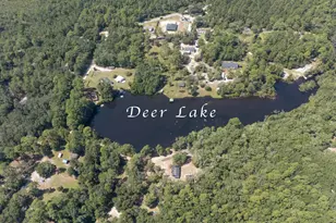 11290 Squirrel Trail, Milton, FL 32583 - Photo 5