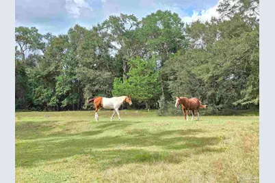 5516 Molino Rd, Molino, FL 32577 - Photo 59