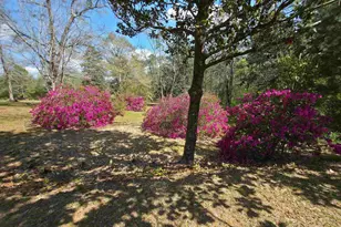 5516 Molino Rd, Molino, FL 32577 - Photo 43