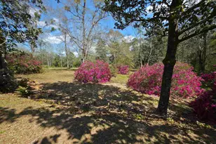 5516 Molino Rd, Molino, FL 32577 - Photo 61