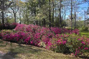 5516 Molino Rd, Molino, FL 32577 - Photo 63